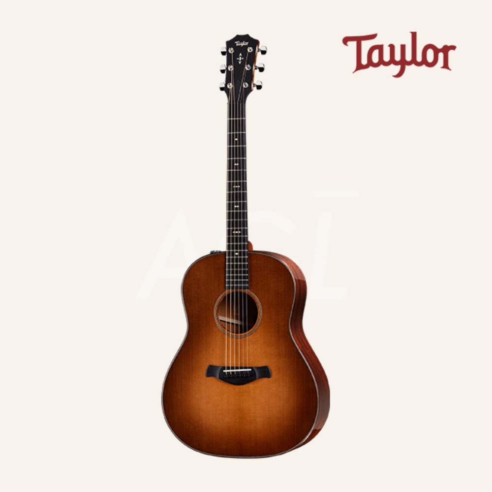 [TAYLOR] 테일러 517e WHB Builders Edition